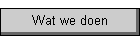Wat we doen
